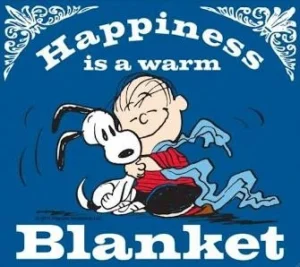 Blanket Drive